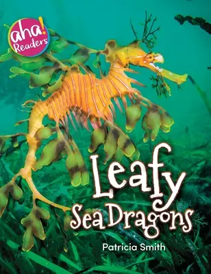 Blättrige Seedrachen - Leafy Sea Dragons