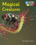 Magische Kreaturen - Phonics Phase 5 - Magical Creatures - Phonics Phase 5