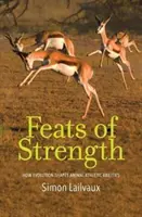 Kraftakte: Wie die Evolution die sportlichen Fähigkeiten von Tieren prägt - Feats of Strength: How Evolution Shapes Animal Athletic Abilities