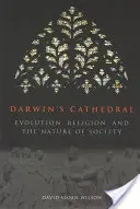 Darwins Kathedrale: Evolution, Religion und die Natur der Gesellschaft - Darwin's Cathedral: Evolution, Religion, and the Nature of Society