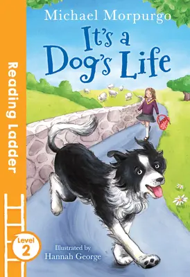 Es ist ein Hundeleben (Leseleiter Stufe 2) - It's a Dog's Life (Reading Ladder Level 2)