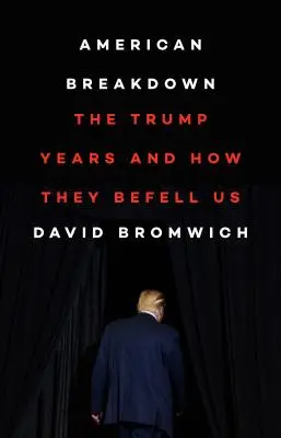 American Breakdown: Die Trump-Jahre und wie sie uns zu schaffen machen - American Breakdown: The Trump Years and How They Befell Us