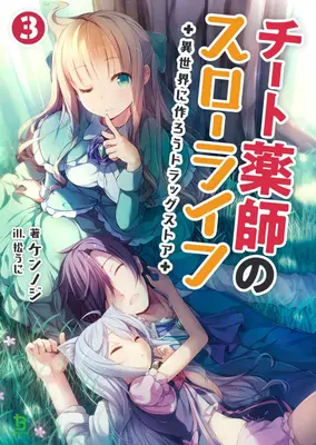 Drogerie in einer anderen Welt: Das langsame Leben eines betrügerischen Apothekers (Light Novel) Bd. 3 - Drugstore in Another World: The Slow Life of a Cheat Pharmacist (Light Novel) Vol. 3