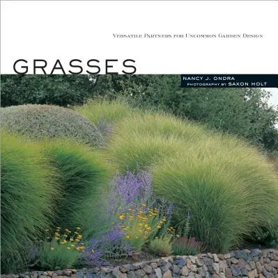 Gräser: Vielseitige Partner für die ungewöhnliche Gartengestaltung - Grasses: Versatile Partners for Uncommon Garden Design