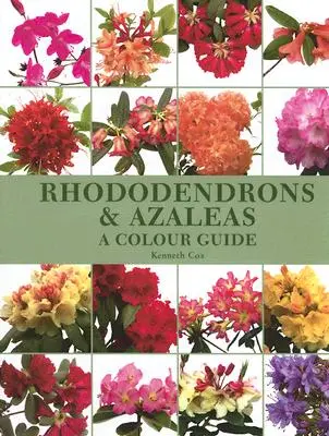 Rhododendren und Azaleen: Ein Farbführer - Rhododendrons & Azaleas: A Colour Guide