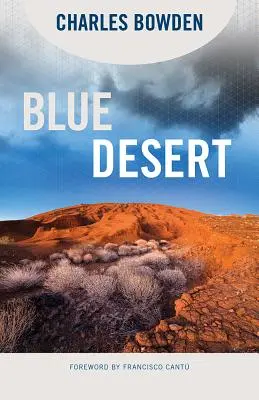 Blaue Wüste - Blue Desert