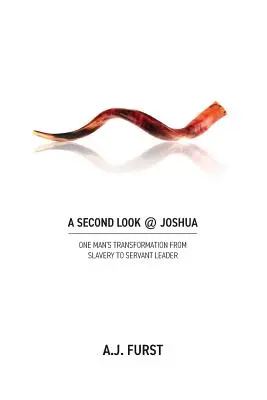 Ein zweiter Blick @ Joshua - A Second Look @ Joshua