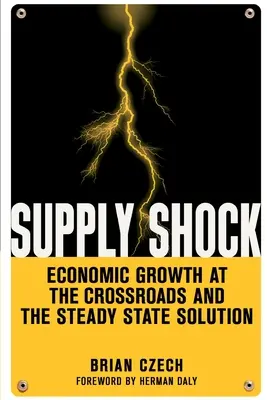 Angebotsschock: Wirtschaftswachstum am Scheideweg und die Steady-State-Lösung - Supply Shock: Economic Growth at the Crossroads and the Steady State Solution