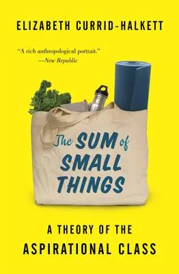 Die Summe der kleinen Dinge: Eine Theorie der aufstrebenden Klasse - The Sum of Small Things: A Theory of the Aspirational Class