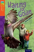 Oxford Reading TreeTops Belletristik: Stufe 13: Warten auf Goldie - Oxford Reading Tree TreeTops Fiction: Level 13: Waiting for Goldie