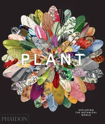 Pflanze: Die botanische Welt erforschen - Plant: Exploring the Botanical World