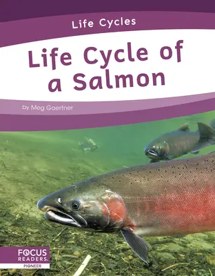 Lebenszyklus eines Lachses - Life Cycle of a Salmon