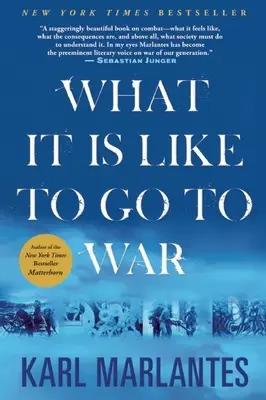 Wie es ist, in den Krieg zu ziehen - What It Is Like to Go to War