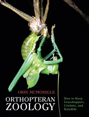 Orthopteren-Zoologie: Wie man Grashüpfer, Grillen und Katydiden hält - Orthopteran Zoology: How to Keep Grasshoppers, Crickets, and Katydids