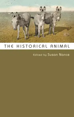 Das historische Tier - The Historical Animal