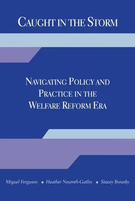 Gefangen im Sturm: Politik und Praxis in der Ära der Wohlfahrtsreform - Caught in the Storm: Navigating Policy and Practice in the Welfare Reform Era