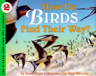 Wie finden Vögel ihren Weg? - How Do Birds Find Their Way?