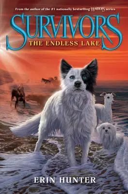 Survivors #5: Der endlose See - Survivors #5: The Endless Lake