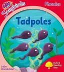 Oxford Reading Tree Songbirds Phonics: Stufe 4: Kaulquappen - Oxford Reading Tree Songbirds Phonics: Level 4: Tadpoles