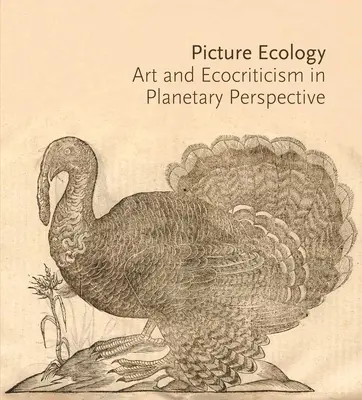 Bild-Ökologie: Kunst und Ökokritik in planetarischer Perspektive - Picture Ecology: Art and Ecocriticism in Planetary Perspective