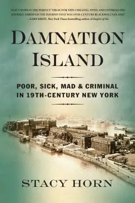 Die Insel der Verdammnis: Arme, Kranke, Verrückte und Kriminelle im New York des 19. Jahrhunderts - Damnation Island: Poor, Sick, Mad, and Criminal in 19th-Century New York