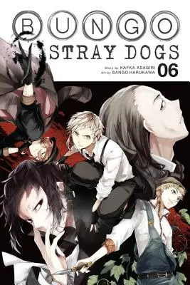 Bungo Stray Dogs, Bd. 6 - Bungo Stray Dogs, Vol. 6