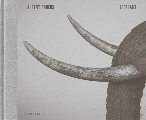 Elefant - Elephant