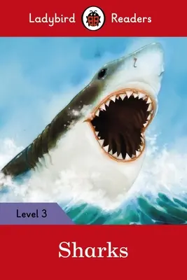 Haie - Marienkäfer-Lesebücher, Stufe 3 - Sharks - Ladybird Readers Level 3