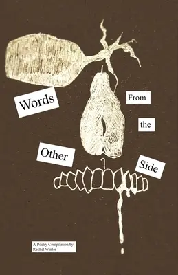 Worte von der anderen Seite: Das Poesiealbum eines verrückten Mädchens - Words From the Other Side: A Crazy Girl's Book of Poetry
