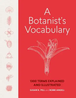 A Botanist's Vocabulary: 1300 Begriffe erklärt und illustriert - A Botanist's Vocabulary: 1300 Terms Explained and Illustrated