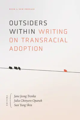 Außenseiter im Inneren: Schreiben über rassenübergreifende Adoption - Outsiders Within: Writing on Transracial Adoption