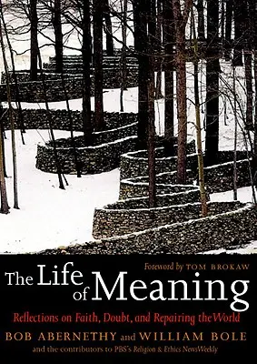 Das Leben des Sinns: Überlegungen zu Glaube, Zweifel und die Reparatur der Welt - The Life of Meaning: Reflections on Faith, Doubt, and Repairing the World