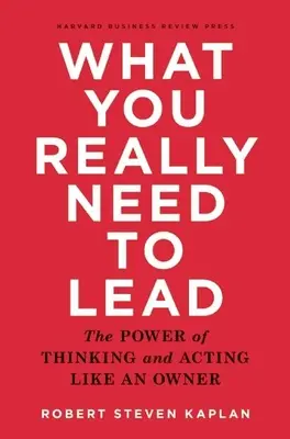 Was Sie wirklich zum Führen brauchen: Die Macht des Denkens und Handelns wie ein Eigentümer - What You Really Need to Lead: The Power of Thinking and Acting Like an Owner