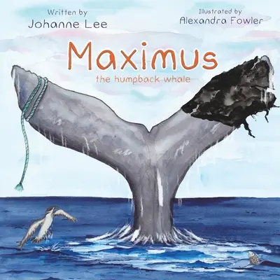 Maximus der Buckelwal - Maximus the Humpback Whale