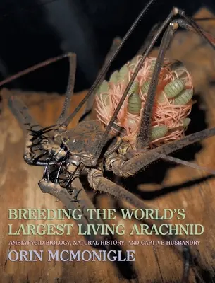 Die Zucht der größten lebenden Arachnide der Welt: Biologie, Naturgeschichte und Haltung in Gefangenschaft von Amblypygiden (Peitschenspinnen) - Breeding the World's Largest Living Arachnid: Amblypygid (Whipspider) Biology, Natural History, and Captive Husbandry