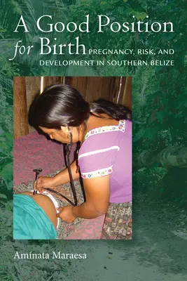 Eine gute Position für die Geburt: Schwangerschaft, Risiko und Entwicklung in Südbelize - A Good Position for Birth: Pregnancy, Risk, and Development in Southern Belize