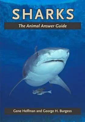 Haie: Der tierische Antwortführer - Sharks: The Animal Answer Guide