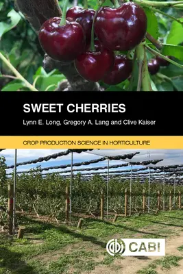 Süße Kirschen - Sweet Cherries