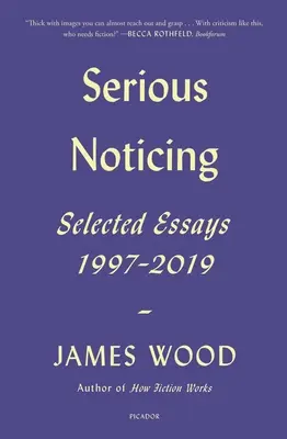 Serious Noticing: Ausgewählte Aufsätze, 1997-2019 - Serious Noticing: Selected Essays, 1997-2019