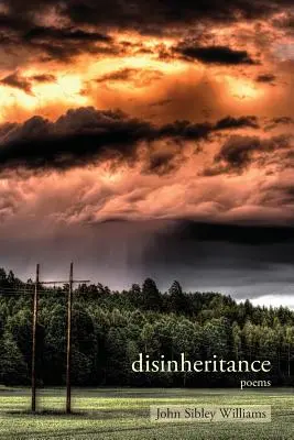 Disinheritance: Gedichte - Disinheritance: Poems