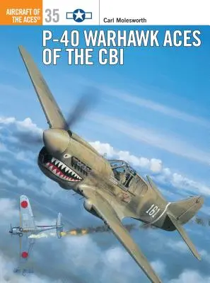 P-40 Warhawk Asse der Cbi - P-40 Warhawk Aces of the Cbi