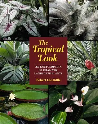 Der tropische Look: Eine Enzyklopädie dramatischer Landschaftsgewächse - The Tropical Look: An Encyclopedia of Dramatic Landscape Plants