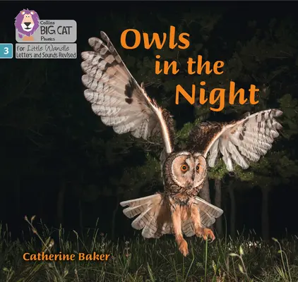 Eulen in der Nacht - Phase 3 - Owls in the Night - Phase 3