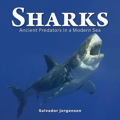 Haie: Uralte Raubtiere in einem modernen Meer - Sharks: Ancient Predators in a Modern Sea