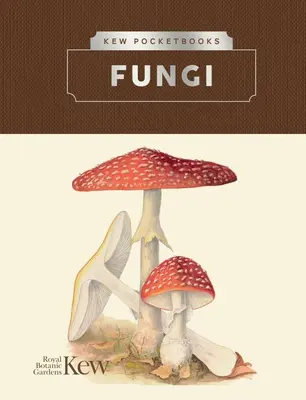 Kew-Taschenbücher: Pilze - Kew Pocketbooks: Fungi