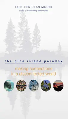 Das Pine-Island-Paradox: Verbindungen schaffen in einer unzusammenhängenden Welt - The Pine Island Paradox: Making Connections in a Disconnected World