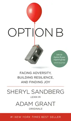 Option B: Widrigkeiten meistern, Widerstandsfähigkeit aufbauen und Freude finden - Option B: Facing Adversity, Building Resilience, and Finding Joy