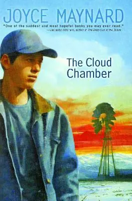 Die Nebelkammer - The Cloud Chamber