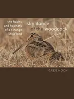 Himmelstanz der Waldschnepfe: Die Gewohnheiten und Lebensräume eines seltsamen kleinen Vogels - Sky Dance of the Woodcock: The Habits and Habitats of a Strange Little Bird