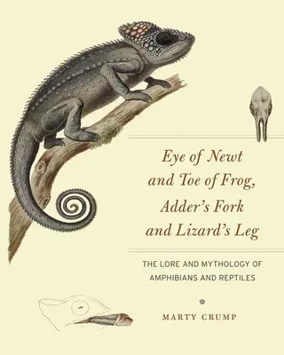 Molchauge und Froschzehe, Natterngabel und Eidechsenbein: Überlieferungen und Mythologie der Amphibien und Reptilien - Eye of Newt and Toe of Frog, Adder's Fork and Lizard's Leg: The Lore and Mythology of Amphibians and Reptiles